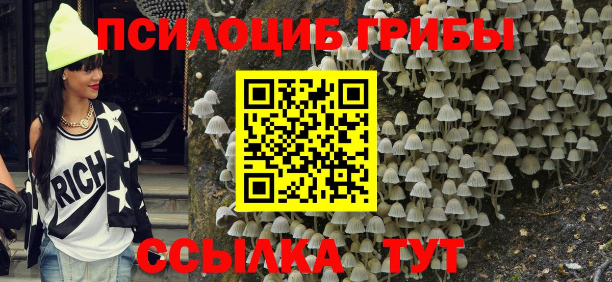 Новодвинск  Псилоцибиновые грибы мицелий  Вход с VPN 